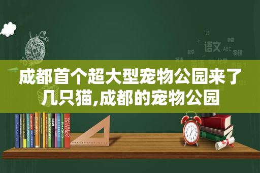 成都首个超大型宠物公园来了几只猫,成都的宠物公园