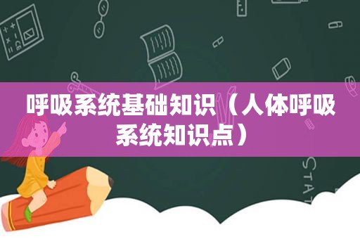 呼吸系统基础知识（人体呼吸系统知识点）