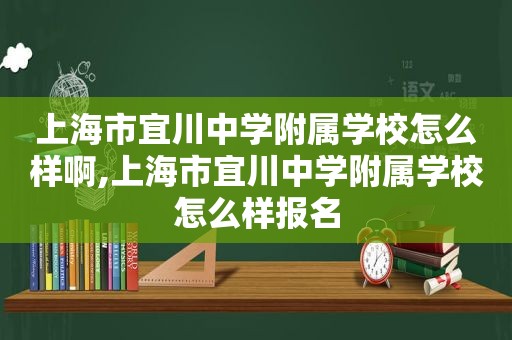 上海市宜川中学附属学校怎么样啊,上海市宜川中学附属学校怎么样报名