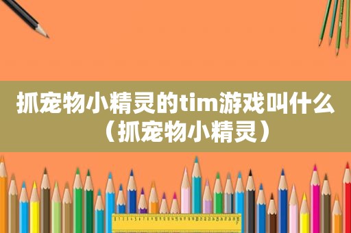 抓宠物小精灵的tim游戏叫什么（抓宠物小精灵）