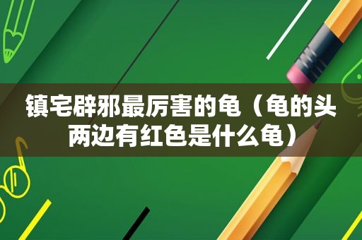 镇宅辟邪最厉害的龟（龟的头两边有红色是什么龟）