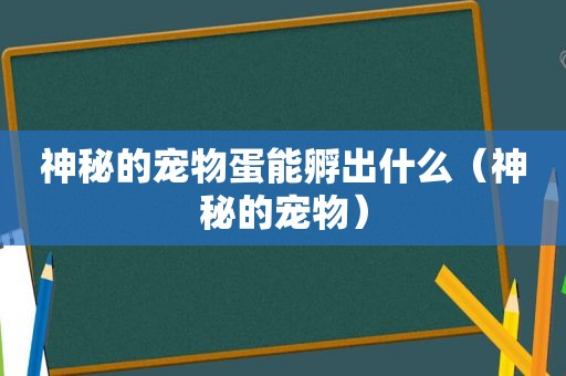 神秘的宠物蛋能孵出什么（神秘的宠物）