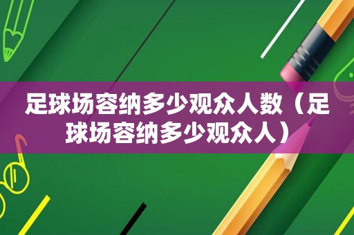 足球场容纳多少观众人数（足球场容纳多少观众人）