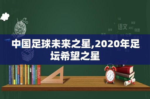 中国足球未来之星,2020年足坛希望之星