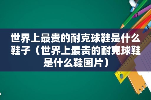 世界上最贵的耐克球鞋是什么鞋子（世界上最贵的耐克球鞋是什么鞋图片）