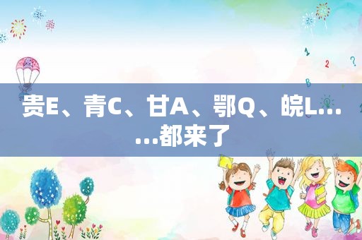 贵E、青C、甘A、鄂Q、皖L……都来了