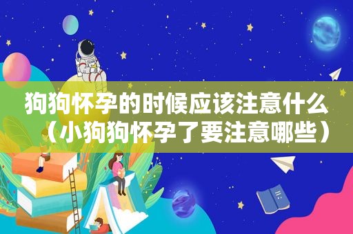 狗狗怀孕的时候应该注意什么（小狗狗怀孕了要注意哪些）