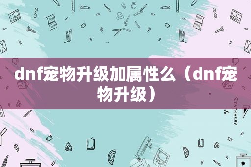 dnf宠物升级加属性么（dnf宠物升级）