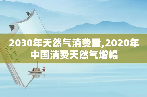 2030年天然气消费量,2020年中国消费天然气增幅