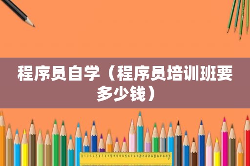 程序员自学（程序员培训班要多少钱）