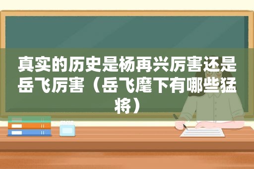 真实的历史是杨再兴厉害还是岳飞厉害（岳飞麾下有哪些猛将）