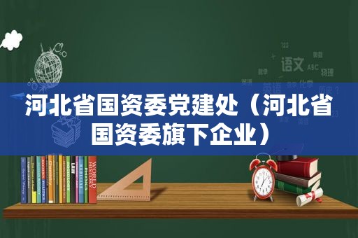 河北省国资委党建处（河北省国资委旗下企业）