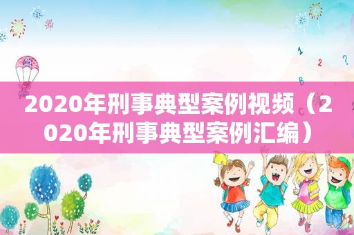 2020年刑事典型案例视频（2020年刑事典型案例汇编）