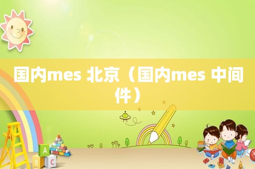 国内mes 北京（国内mes 中间件）