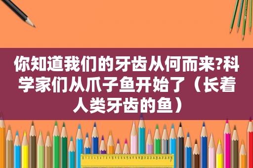 你知道我们的牙齿从何而来?科学家们从爪子鱼开始了（长着人类牙齿的鱼）