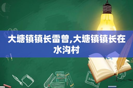 大塘镇镇长雷曾,大塘镇镇长在水沟村