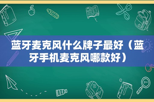 蓝牙麦克风什么牌子最好（蓝牙手机麦克风哪款好）