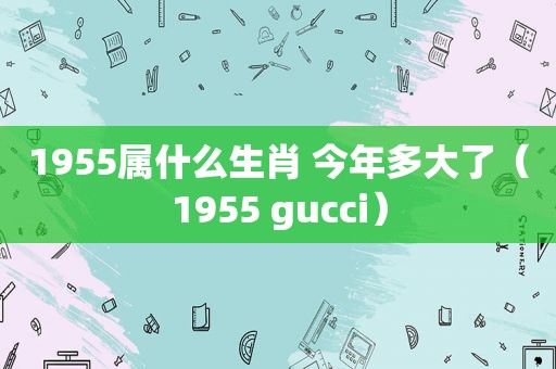 1955属什么生肖 今年多大了（1955 gucci）