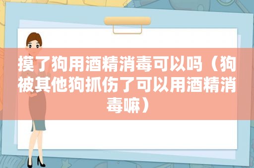 摸了狗用酒精消毒可以吗（狗被其他狗抓伤了可以用酒精消毒嘛）