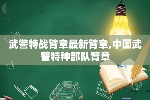 武警特战臂章最新臂章,中国武警特种部队臂章