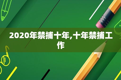 2020年禁捕十年,十年禁捕工作