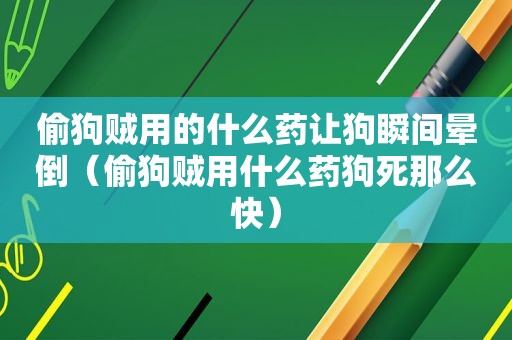 偷狗贼用的什么药让狗瞬间晕倒（偷狗贼用什么药狗死那么快）