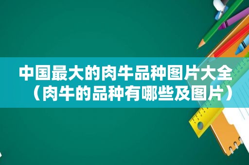 中国最大的肉牛品种图片大全（肉牛的品种有哪些及图片）