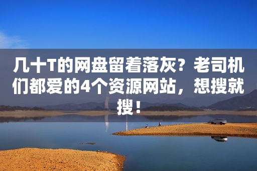 几十T的网盘留着落灰？ *** 们都爱的4个资源网站，想搜就搜！