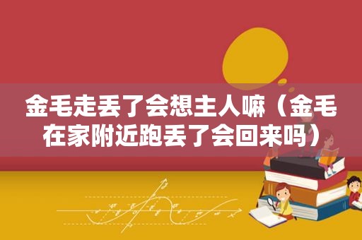 金毛走丢了会想主人嘛（金毛在家附近跑丢了会回来吗）