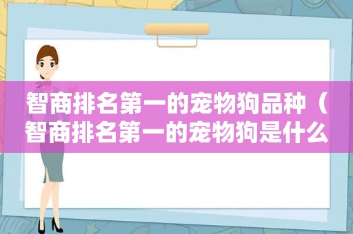 智商排名第一的宠物狗品种（智商排名第一的宠物狗是什么）