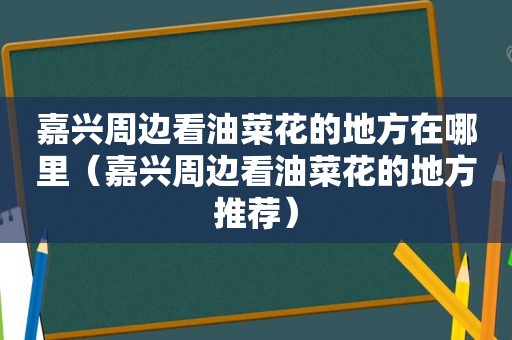 嘉兴周边看油菜花的地方在哪里（嘉兴周边看油菜花的地方推荐）