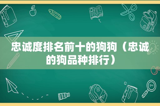 忠诚度排名前十的狗狗（忠诚的狗品种排行）