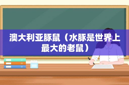 澳大利亚豚鼠（水豚是世界上最大的老鼠）