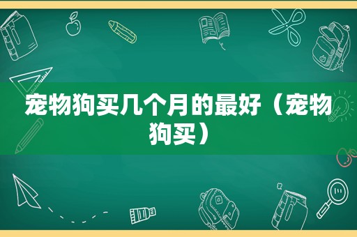 宠物狗买几个月的最好（宠物狗买）