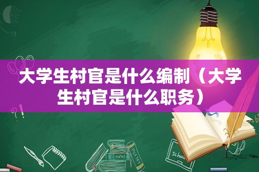 大学生村官是什么编制（大学生村官是什么职务）