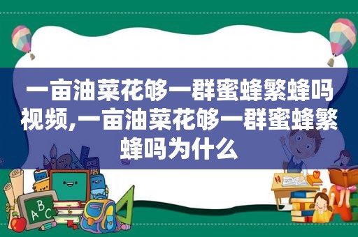 一亩油菜花够一群蜜蜂繁蜂吗视频,一亩油菜花够一群蜜蜂繁蜂吗为什么