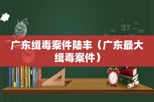 广东缉毒案件陆丰（广东最大缉毒案件）