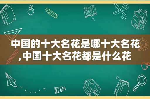 中国的十大名花是哪十大名花,中国十大名花都是什么花