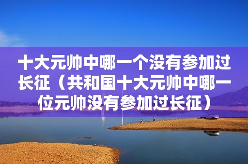 十大元帅中哪一个没有参加过长征（共和国十大元帅中哪一位元帅没有参加过长征）