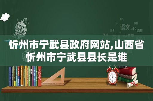 忻州市宁武县 *** 网站,山西省忻州市宁武县县长是谁