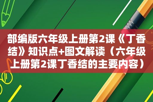 部编版六年级上册第2课《丁香结》知识点+图文解读（六年级上册第2课丁香结的主要内容）