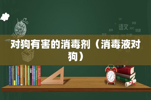 对狗有害的消毒剂（消毒液对狗）