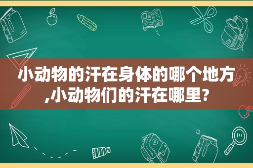 小动物的汗在身体的哪个地方,小动物们的汗在哪里?