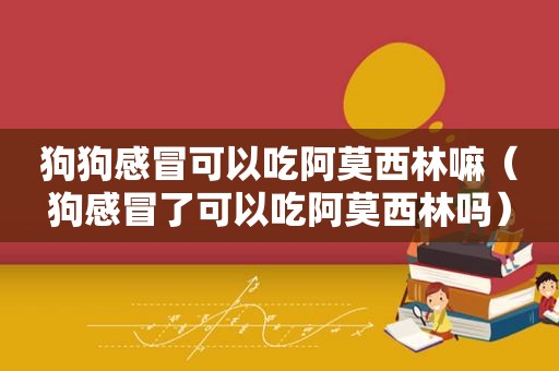 狗狗感冒可以吃阿莫西林嘛（狗感冒了可以吃阿莫西林吗）