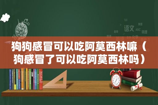 狗狗感冒可以吃阿莫西林嘛（狗感冒了可以吃阿莫西林吗）