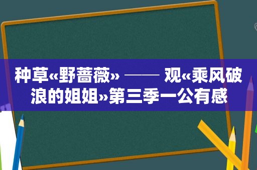 种草«野蔷薇» ── 观«乘风破浪的姐姐»第三季一公有感