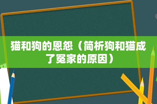 猫和狗的恩怨（简析狗和猫成了冤家的原因）