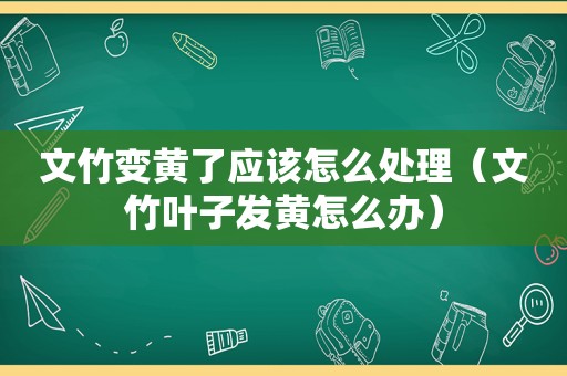 文竹变黄了应该怎么处理（文竹叶子发黄怎么办）