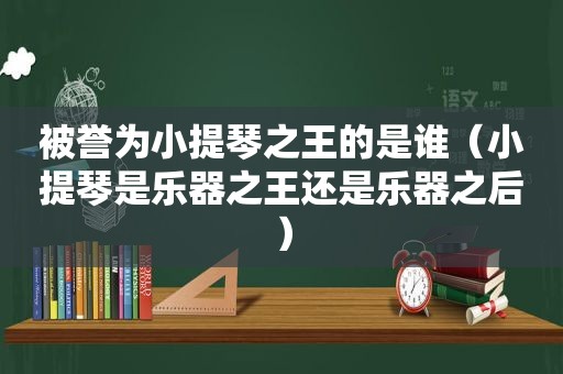 被誉为小提琴之王的是谁（小提琴是乐器之王还是乐器之后）