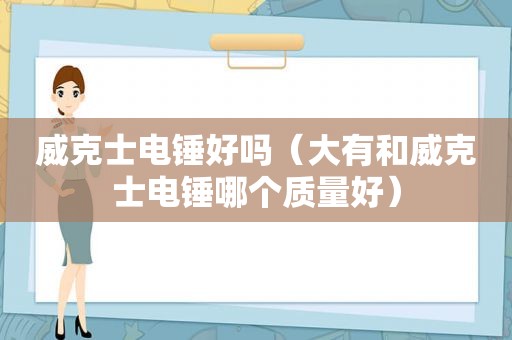 威克士电锤好吗（大有和威克士电锤哪个质量好）